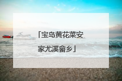 宝岛黄花菜安家尤溪畲乡