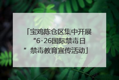 宝鸡陈仓区集中开展“6･26国际禁毒日”禁毒教育宣传活动