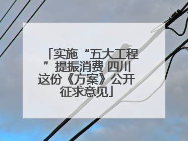 实施“五大工程”提振消费 四川这份《方案》公开征求意见