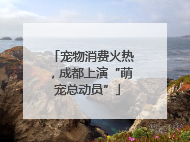宠物消费火热，成都上演“萌宠总动员”