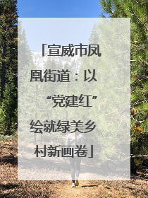 宣威市凤凰街道：以“党建红”绘就绿美乡村新画卷