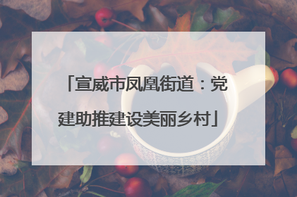 宣威市凤凰街道：党建助推建设美丽乡村
