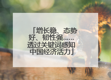 增长稳、态势好、韧性强……透过关键词感知中国经济活力