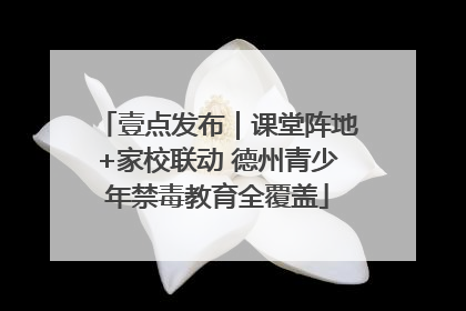 壹点发布｜课堂阵地+家校联动 德州青少年禁毒教育全覆盖