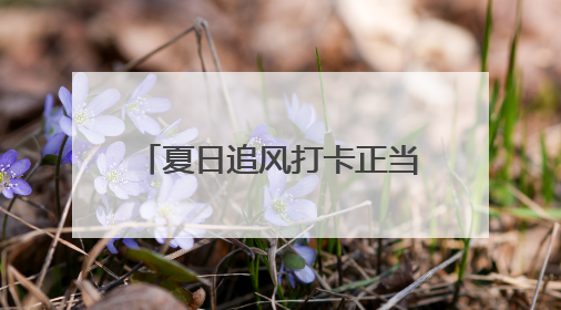 夏日追风打卡正当时！解锁“微风露台”限定礼遇→