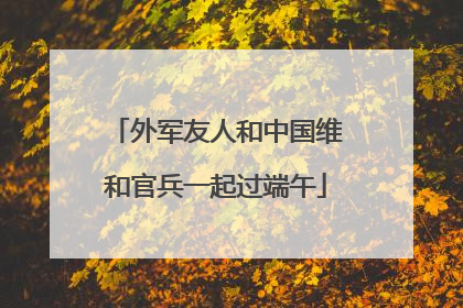 外军友人和中国维和官兵一起过端午