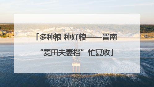 多种粮 种好粮——晋南“麦田夫妻档”忙夏收