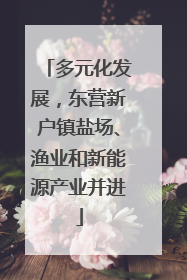 多元化发展，东营新户镇盐场、渔业和新能源产业并进