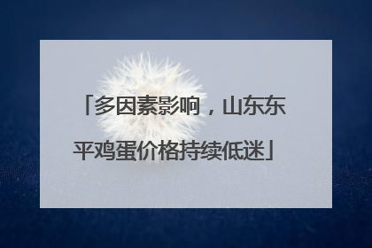 多因素影响，山东东平鸡蛋价格持续低迷
