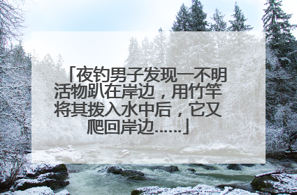 夜钓男子发现一不明活物趴在岸边，用竹竿将其拨入水中后，它又爬回岸边……