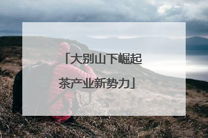 大别山下崛起茶产业新势力