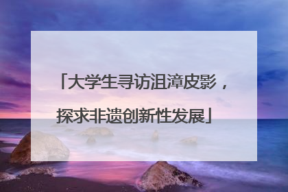 大学生寻访沮漳皮影，探求非遗创新性发展