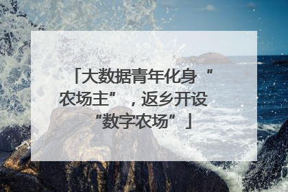 大数据青年化身“农场主”，返乡开设“数字农场”