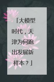 大模型时代，天津为何跑出发展新样本？