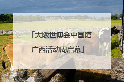 大阪世博会中国馆广西活动周启幕