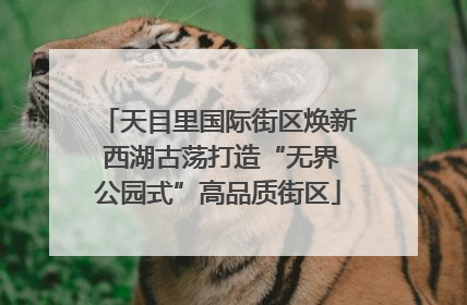 天目里国际街区焕新 西湖古荡打造“无界公园式”高品质街区