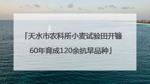 天水市农科所小麦试验田开镰 60年育成120余抗旱品种