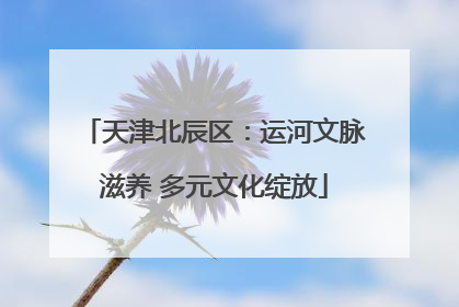 天津北辰区：运河文脉滋养 多元文化绽放