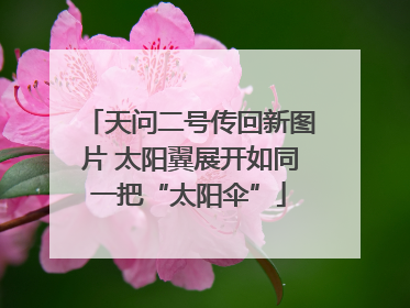 天问二号传回新图片 太阳翼展开如同一把“太阳伞”