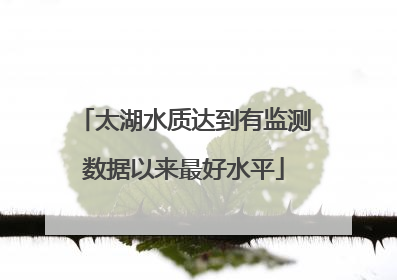 太湖水质达到有监测数据以来最好水平