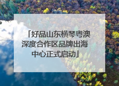好品山东横琴粤澳深度合作区品牌出海中心正式启动