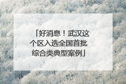 好消息！武汉这个区入选全国首批综合类典型案例