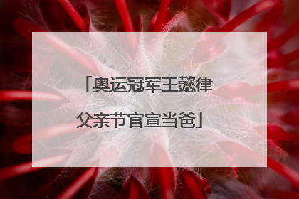 奥运冠军王懿律父亲节官宣当爸