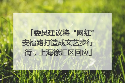 委员建议将“网红”安福路打造成文艺步行街，上海徐汇区回应