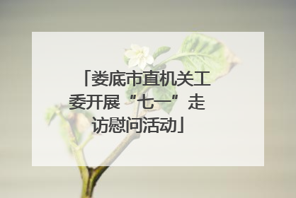 娄底市直机关工委开展“七一”走访慰问活动