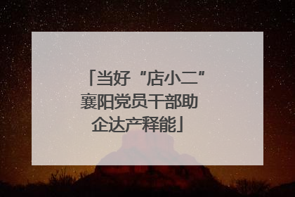 当好“店小二” 襄阳党员干部助企达产释能