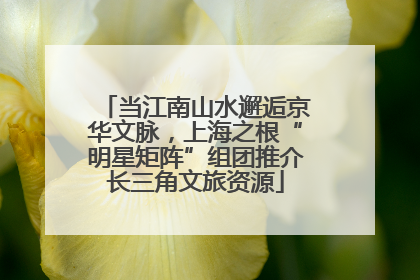 当江南山水邂逅京华文脉，上海之根“明星矩阵”组团推介长三角文旅资源