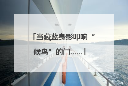 当藏蓝身影叩响“候鸟”的门……