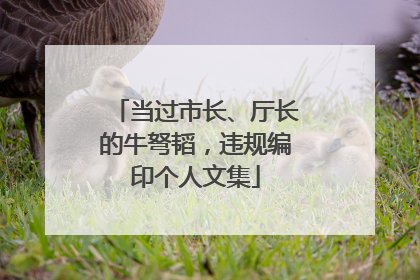 当过市长、厅长的牛弩韬，违规编印个人文集