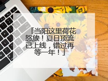 当阳这里荷花怒放！夏日顶流已上线，错过再等一年！