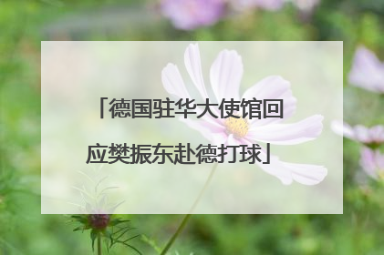 德国驻华大使馆回应樊振东赴德打球