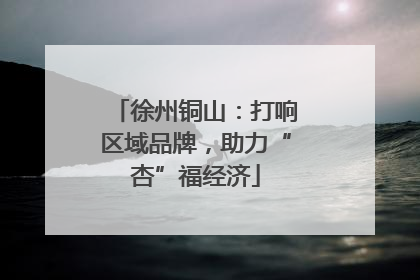 徐州铜山：打响区域品牌，助力“杏”福经济