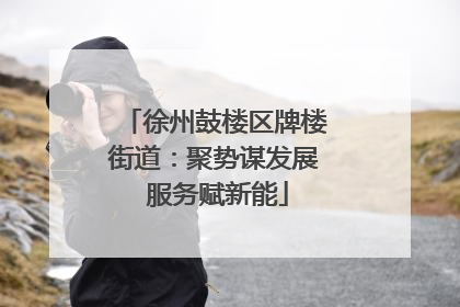 徐州鼓楼区牌楼街道：聚势谋发展 服务赋新能