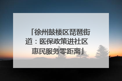 徐州鼓楼区琵琶街道：医保政策进社区 惠民服务零距离