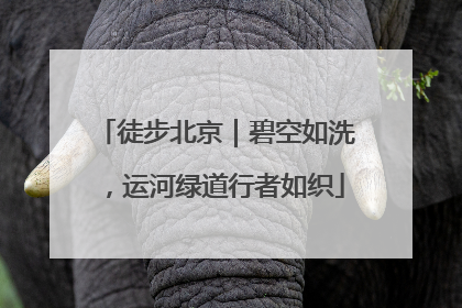 徒步北京｜碧空如洗，运河绿道行者如织