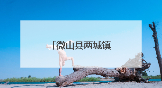 微山县两城镇精准服务助力退役军人再启航