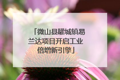 微山县驩城镇易兰达项目开启工业倍增新引擎