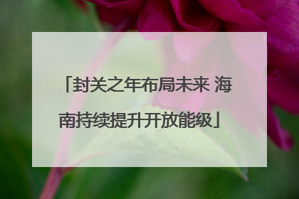 封关之年布局未来 海南持续提升开放能级