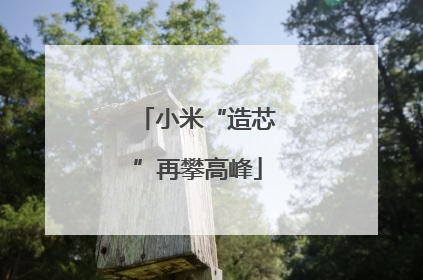 小米“造芯”再攀高峰