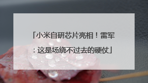 小米自研芯片亮相！雷军：这是场绕不过去的硬仗