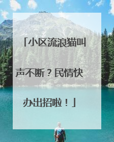 小区流浪猫叫声不断？民情快办出招啦！