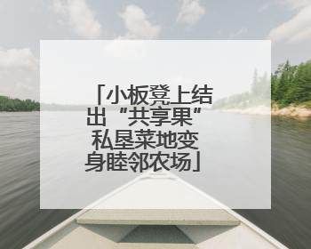 小板凳上结出“共享果” 私垦菜地变身睦邻农场