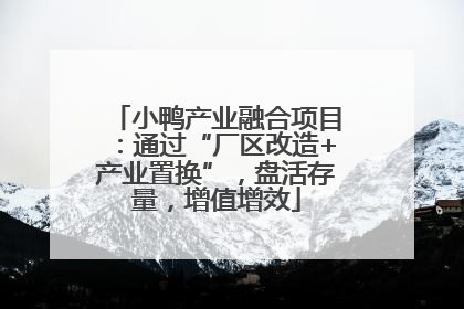 小鸭产业融合项目：通过“厂区改造+产业置换”，盘活存量，增值增效