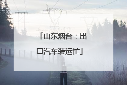 山东烟台：出口汽车装运忙