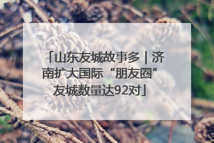 山东友城故事多｜济南扩大国际“朋友圈”友城数量达92对