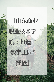 山东商业职业技术学院：打造“数字工匠”摇篮